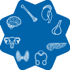 BronzeIcon