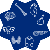 BronzeIcon